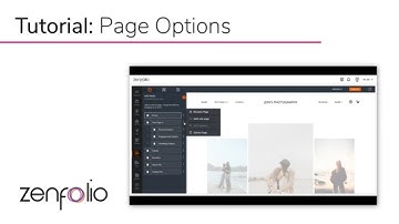 Understanding Page Options in the Zenfolio Web Editor