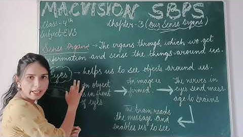 Class-4th chapter-3 Our sense organs (part-1)
