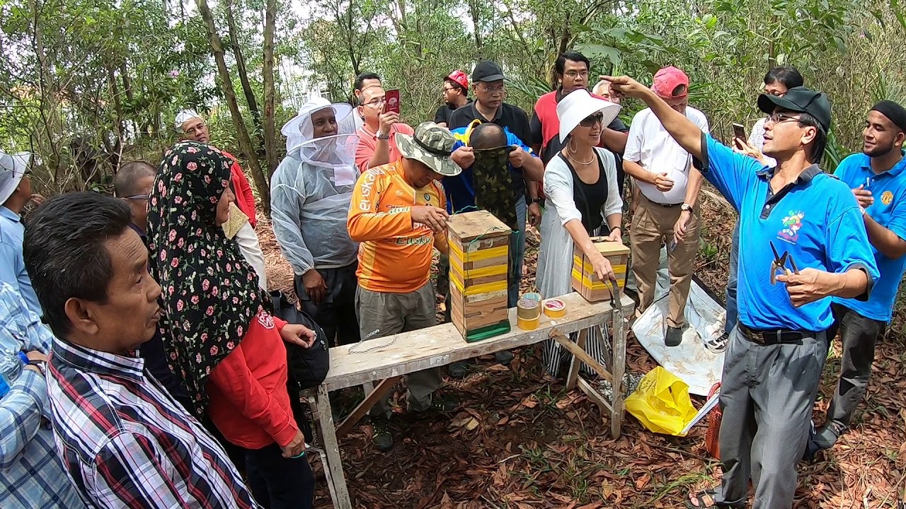 Gandaan Koloni Putrajaya 22/9/18 bhgn 1