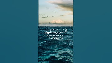 القرآن الكريم, كل نفس ذائقة الموت , القارئ عبد الرحمن مسعد #القرآن_الكريم #quran_kareem_arabia1