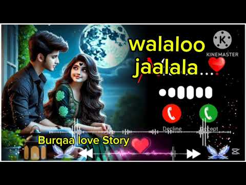 Walaloo Jaalala Akkan Namaati Toltuu