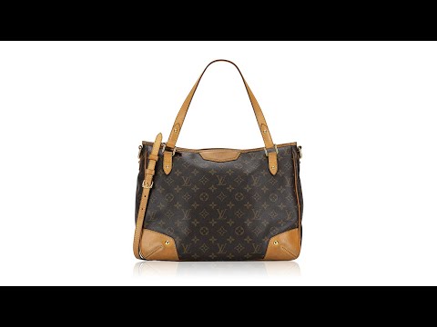 Louis Vuitton Monogram Canvas Estrela MM Bag - Yoogi's Closet