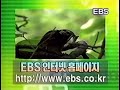 EBS 현 EBS1 ID 딱따구리 2000년