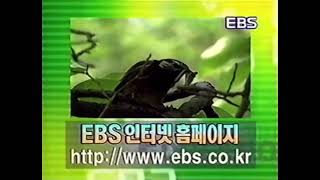 EBS(현 EBS1) ID - 딱따구리 (2000년)