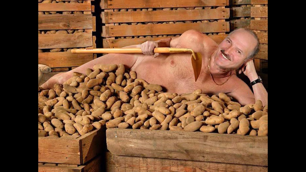 Caito potato