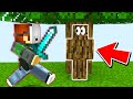 I used CAMO TROLLING in Minecraft Murder Mystery and it worked..