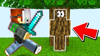 I used CAMO TROLLING in Minecraft Murder Mystery and it worked..