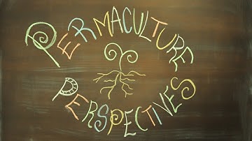 Permaculture Perspectives: Permaculture as a Definition/Conversation