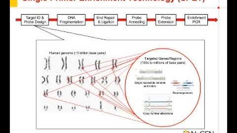 Target Enrichment Technology Optimized