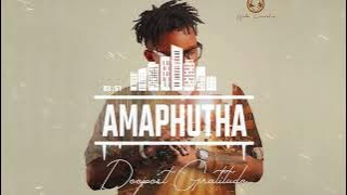 Gaba Cannal - Amaphutha (Feat. Russell Zuma & Moscow On Keys) [ Visualizer]