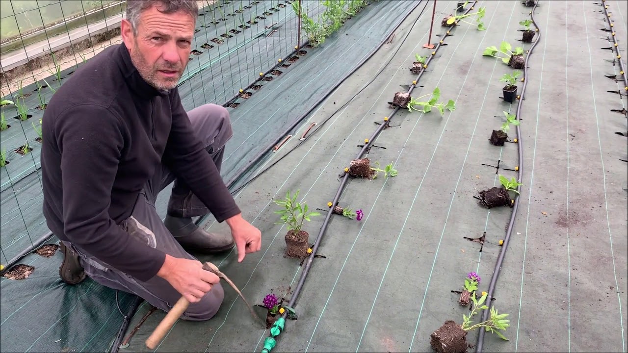 Plantation sur Kit Légumes d'été
