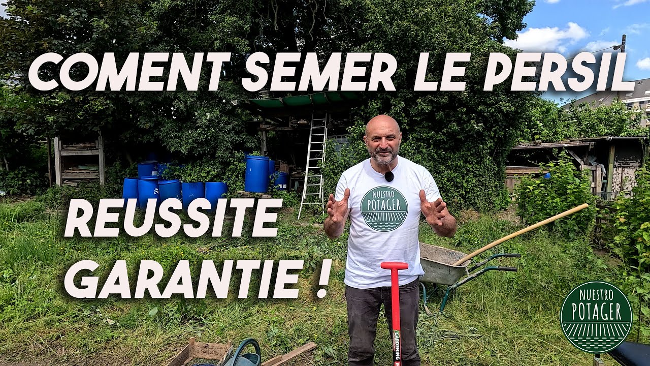 Comment semer le Persil. Réussite garantie !