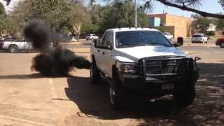 Smarty jr. Dodge Cummins