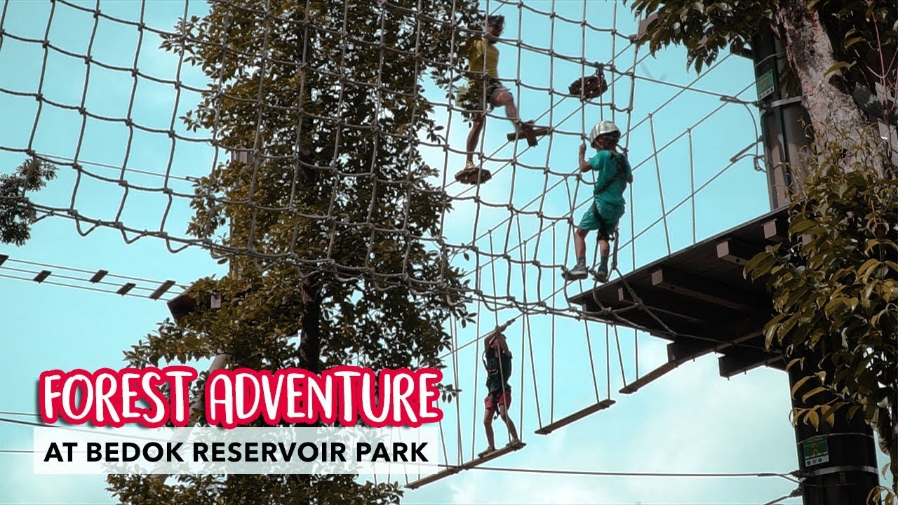 Newly Revamped Forest Adventure At Bedok Reservoir Park YouTube Newly Revamped Forest Adventure At Bedok Reservoir Park YouTube