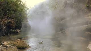 Boiling River | Central Amazon| Peru | Shanay-Timpishka | Amazon Forest | Hottest River in The World