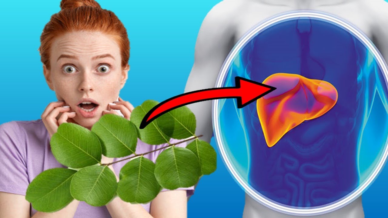 5 Medical Senna Leaves Health Benefits, Uses and Side Effects (WEIGHT LOSS)