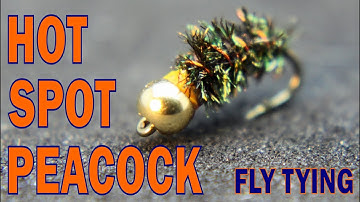 HOT SPOT PEACOCK - FLY TYING