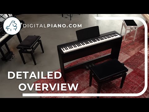 Location Yamaha P-125 - Musicali