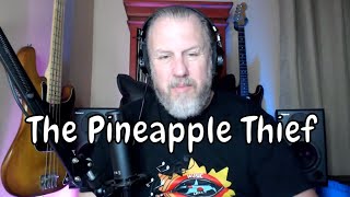 The Pineapple Thief - Vapour Trails - First Listen/Reaction