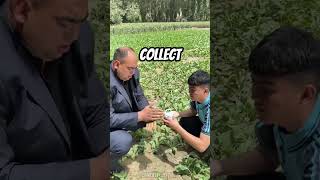 Teacher Becomes Genie To Grant Students Wish