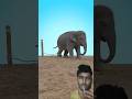 हाथी के छोटे बच्चों के पैर में रस्सी बांध दिया || 3D #animation​ #shorts​  #efact #facts #shortvideo