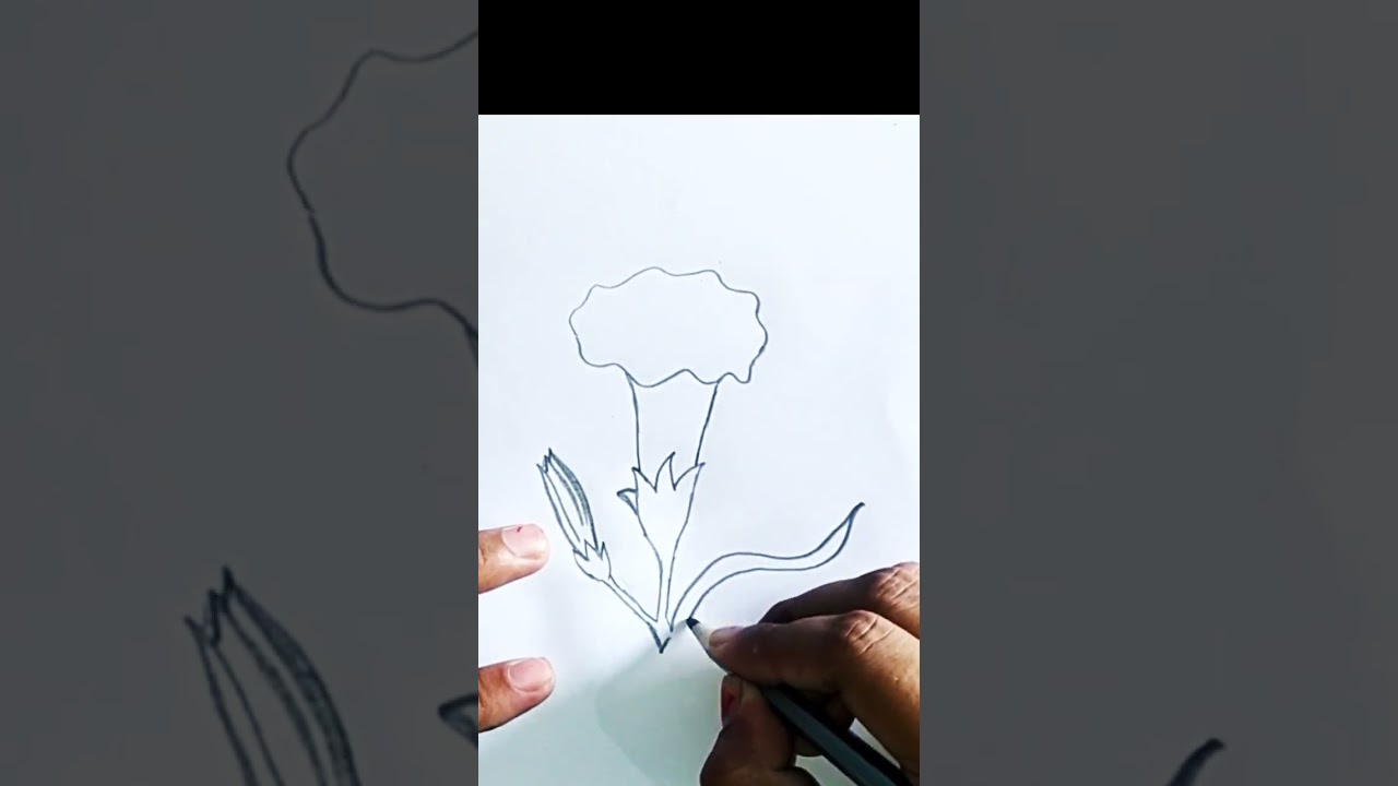 how to draw Kaner flower drawing | easy flower drawing | 