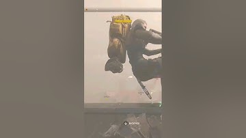 Killing Every Team In Vondel DMZ SQUAD WIPES 🔥🔥 #callofduty #dmz