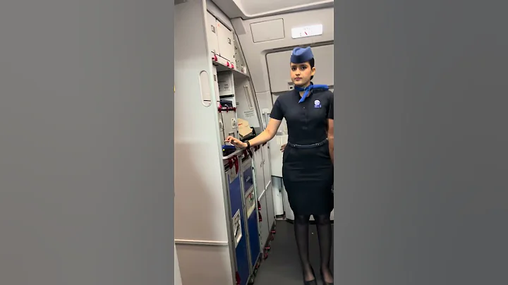 Most Beautiful Punjabi Air hostess *Indigo* 😍 | #shorts #viral #flight
