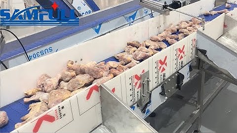 5kg poultry chicken meat multihead weigher vffs weighing packaging machine for leg thigh wing breast