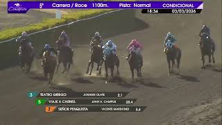 Vidéo de la course PMU PREMIO JHON JHON