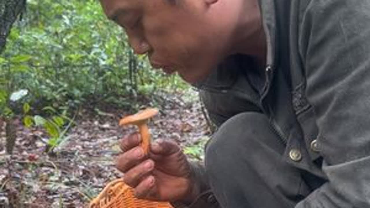 又到了一年捡秋芥的季节了。