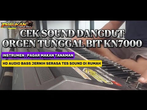 Cek Sound Dangdut Orgen Tunggal [ Instrumen Pagar Makan Tanaman ] HD AUDIO BASS JERNIH BIT KN7000