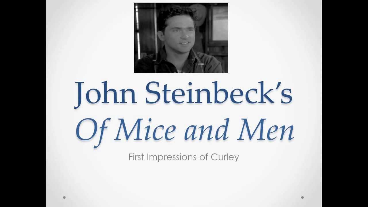 OMAM First Impressions of Curley YouTube