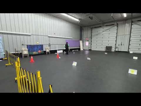 Hans BN-V submission #2, course 5