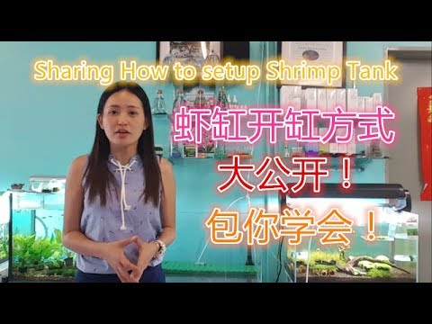 how to setup a shrimp tank 虾缸开缸方式 How To Setup & Cycle A Shrimp Tank 马来西亚大学