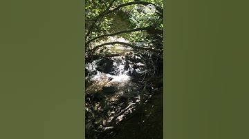 ما تيسر من سورة الحجرات القارئ يوسف المعمري