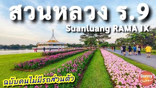 ดอกไม้กลางกรุงหน้าหนาว สวนหลวง ร.9 | Suanluang RAMA IX , Bangkok | Sunny ontour