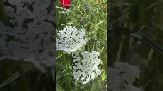 Senden Başka Her Şeyden Ümidimizi Kes... - Ağlatan Sesli Dua Dinle