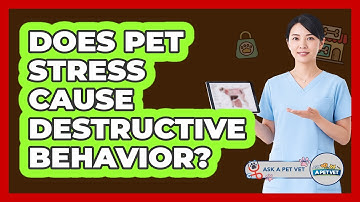 Does Pet Stress Cause Destructive Behavior?