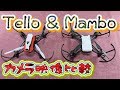 Tello & Mambo 映像比較