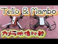 Tello & Mambo 映像比較