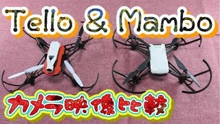 Tello & Mambo 映像比較