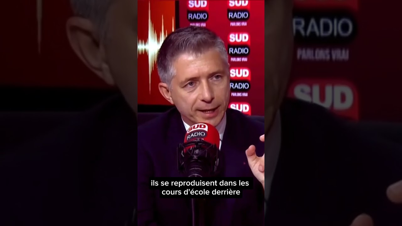 Gil Averous, Ministre des Sports, de la Jeunesse et de la Vie associative était l'invité politique