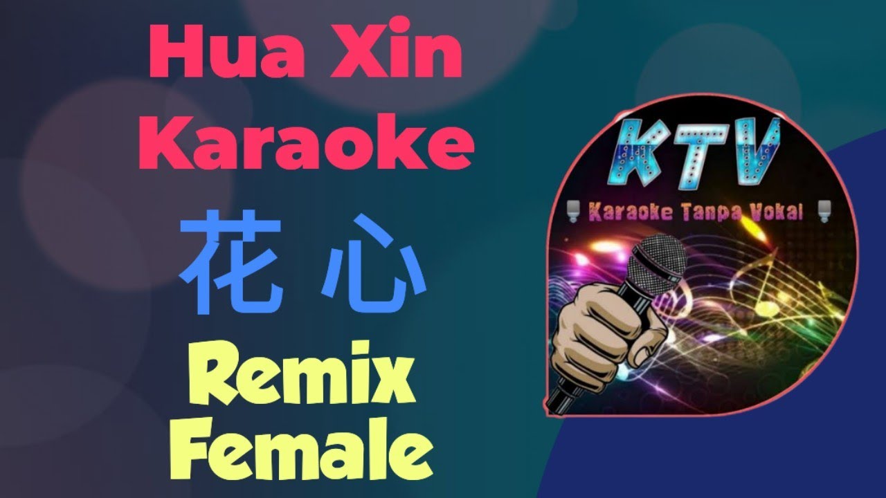 hua xin karaoke remix 花心 (Female)