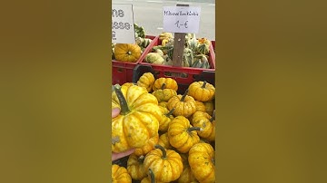 Người Đức rất tin người? Cửa hàng không ai trông coi  #thuytitoduc #cuocsongoduc #docla