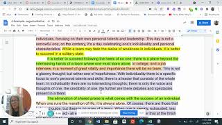 4 Example  argumentative   Google Docs