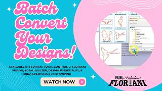 Changing Formats with the Floriani Batch Converter
