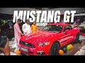 Dream car delivery  mustang gt