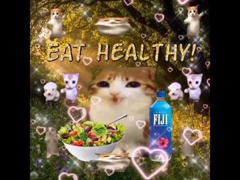 Eat health  🥗🚰🦉😺 | HelpXMeowl.........#meowl #cat #helpxmeowl #funny.