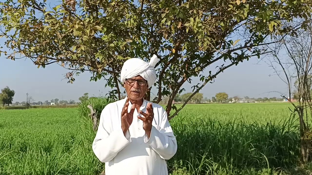 बेशर्म जेठानी ने देवरानी को बदनाम करने के लिए किया ऐसा काम खुद ही ससुराल और पीहर वालों की नजरों से 